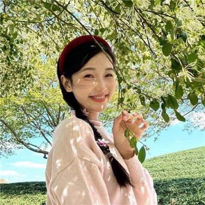 苏安记